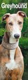 Greyhound Greyhound Kalender 2027 Slimline