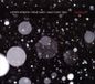Bubbles Anat Fort Trio, Lieven Venken, Rene Hart - Bubbles (CD)