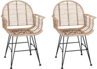 vidaXL Eetkamerstoel, 2 stuks, rotan en metaal, naturel