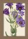 Smithsonian Wildflower Notecard Set - Artwork by Mary Vaux Walcott