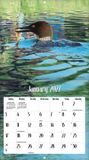 Lang Loons on the Lake Kalender 2027
