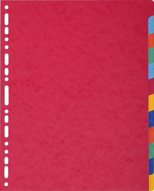 Exacompta 2612E - Schutkaart - Multi - 29,70 cm x 24,50 cm