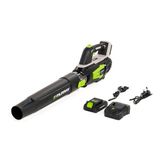 Murray MU-BAT-B144-KIT Draadloze Bladblazer 20V 4Ah Li-Ion