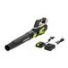 Murray MU-BAT-B144-KIT Draadloze Bladblazer 20V 4Ah Li-Ion