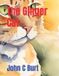 The Ginger Cat. Paperback