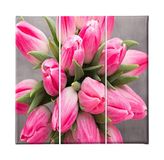 Homemania Wandfoto, 3-delig, natuur, voor woonkamer, slaapkamer, meerkleurig, 69 x 3 x 50 cm, HM203PKNV-25, polyester, hout