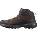 Salomon X Ultra 360 Leather Mid Gore-tex wandelschoenen voor heren, Dark Earth Delicioso Castlerock, 46 2/3 EU