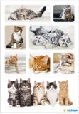 HERMA stickervellen Kattenkinderen