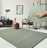 the carpet RELAX – Extra Zacht & Wasbaar Vloerkleed tot 30°C met Antislip Onderzijde – Fluweelachtige Structuur – Voor Slaapkamer of Woonkamer – Groen, 240 x 340 cm