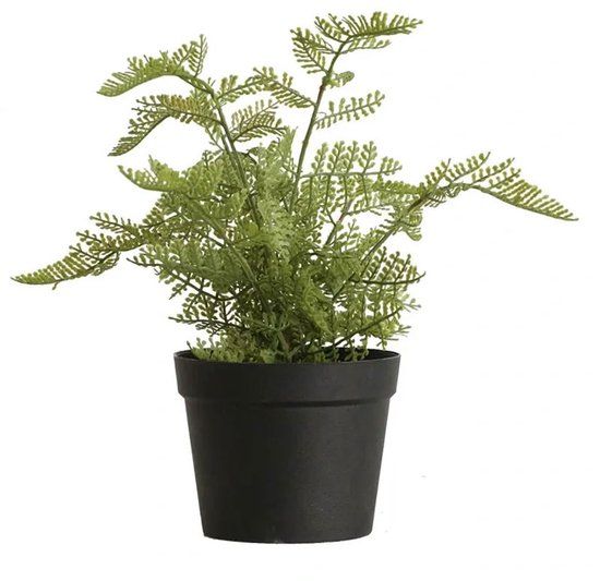 Buitengewoon Boet Buitengewoon de Boet Varen groen 30 cm kunstplant