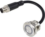 Tru Components TC-12835296 TC-TS22A10YSSR12M12 Male Connector