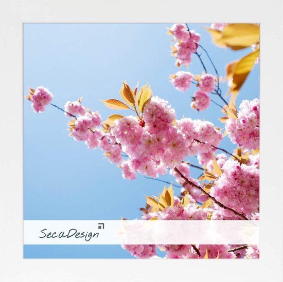 SecaDesign Anima Fotolijst - 13x13 cm - Wit - Hout