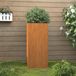 Maison Exclusive - Jardinière en acier Corten, dimensions 32x29x75 cm