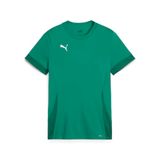 Puma TeamGoal wedstrijdshirt voor kinderen jr 705748