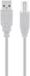 Goobay 68714 USB-kabel - USB type B (M) naar USB (M) - USB 2.0 - 5 m - grijs