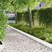 vidaXL Bordure de pelouse - 30 pièces - 103 x 20 cm - Acier - Blanc