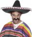 Vegaoo Mexicaanse sombrero voor volwassenen - Verkleedhoofddeksel - One size