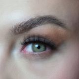 Dezzy's Wildcat brown 0.00 - Realistische Kleurlenzen - Bruin - Jaarlenzen