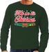 Bellatio Decorations Shoppartners Bv Foute kersttrui / sweater voor heren - groen -Take Me Its Christmas XL