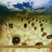 Beyond Paul Brody - Beyond Babylon