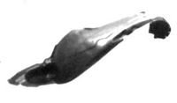 PRASCO Innenkotflügel HN8163604 vorne links