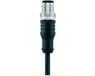 Escha 8046910 Sensor/actuator aansluitkabel Aantal polen (sensoren): 8 5.0 m 1 stuk(s)