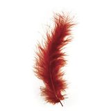 Rayher 8516828 Pluisveer, 10-15 cm, SB-Btl. 15 stuks, roodbruin