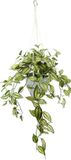 Merkloos Tradescantia Hangplant Kunstmatige Slingerplant met Pot en Hangstoplicht