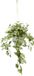 Merkloos Tradescantia Hangplant Kunstmatige Slingerplant met Pot en Hangstoplicht