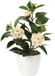 Ibenzoa® Camellia Japonica Kunstplant Levensecht in Stijlvolle Pot voor Interieurdecoratie