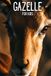 Gazelle for Kids: Beautiful Pictures with Amazing Facts