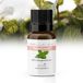 Zenful Pepermuntolie - Bio - Puur - Natuurlijk - Essentiële olie - 10 ml