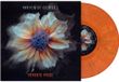 MEMENTO Haven Of Echoes Memento Vivere - Coloured Vinyl