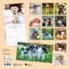 Tushita Puppies Kalender 2027