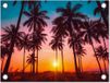 Poster de jardin palmiers - Coucher de soleil - 40x30 cm