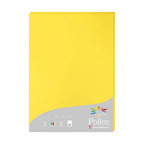 Clairefontaine 24217C - Pak van 25 Vellen A4 21x29,7cm Zongeel 210g