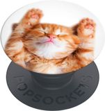 PopSockets PopGrip Basic - Telefoonbutton en Standaard (niet verwisselbaar) - Snoozy Cat