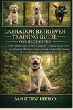 Labrador Retriever Training Guide for Beginners
