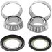 All Balls Racing Conische stuurkogelset 22-1023