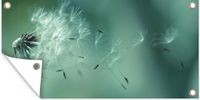 Merkloos / Sans marque GreatGardenPosters B.V. Tuinposter 80x40 cm - Paardenbloem - Abstract - PVC