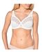 Triumph Letizia W01 X Damesbeha