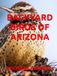 BACKYARD BIRDS OF ARIZONA