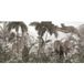 Jungle Animals Papier peint panoramique - 130 cm X 64 cm