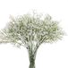 Gumolutin 9 STKS lange steel kunstmatige baby adem bloemen nep echte touch gypsophila voor thuiskantoor binnen buiten bruiloft decoratie feestelijke inrichting, wit