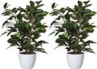 Mica Decorations 2x stuks ficus artificiel vert 40 cm avec pot de fleurs blanc brillant D13.5 et H12.5 cm