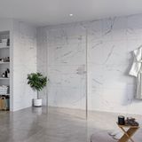 FortiFura Galeria Vrijstaande Inloopdouche - 100x200cm - Helder Glas - Antikalk - 8mm Veiligheidsglas - Geborsteld RVS