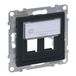 LEGRAND SEANO 2-weg Key-Stone adapter voor Key-Stone databox, Key-Stone module, kleur antraciet, gelakt 765902