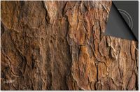 Dietrix Inductie beschermer 65x52 - afdekplaat inductie mat - DELUXE - Hout en Boom - Schors Bruin