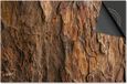 Dietrix Inductie beschermer 65x52 - afdekplaat inductie mat - DELUXE - Hout en Boom - Schors Bruin