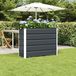 Maison Exclusive - Bac à plantes anthracite 100 x 40 x 75 cm en acier